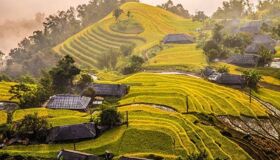 Begin your visa-prepared day with Vietnam’s tranquil ambiance